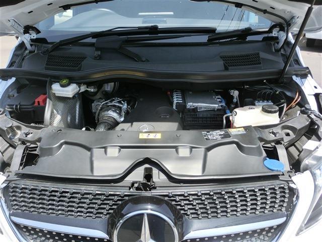Photo8