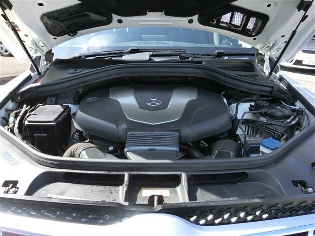 Photo8